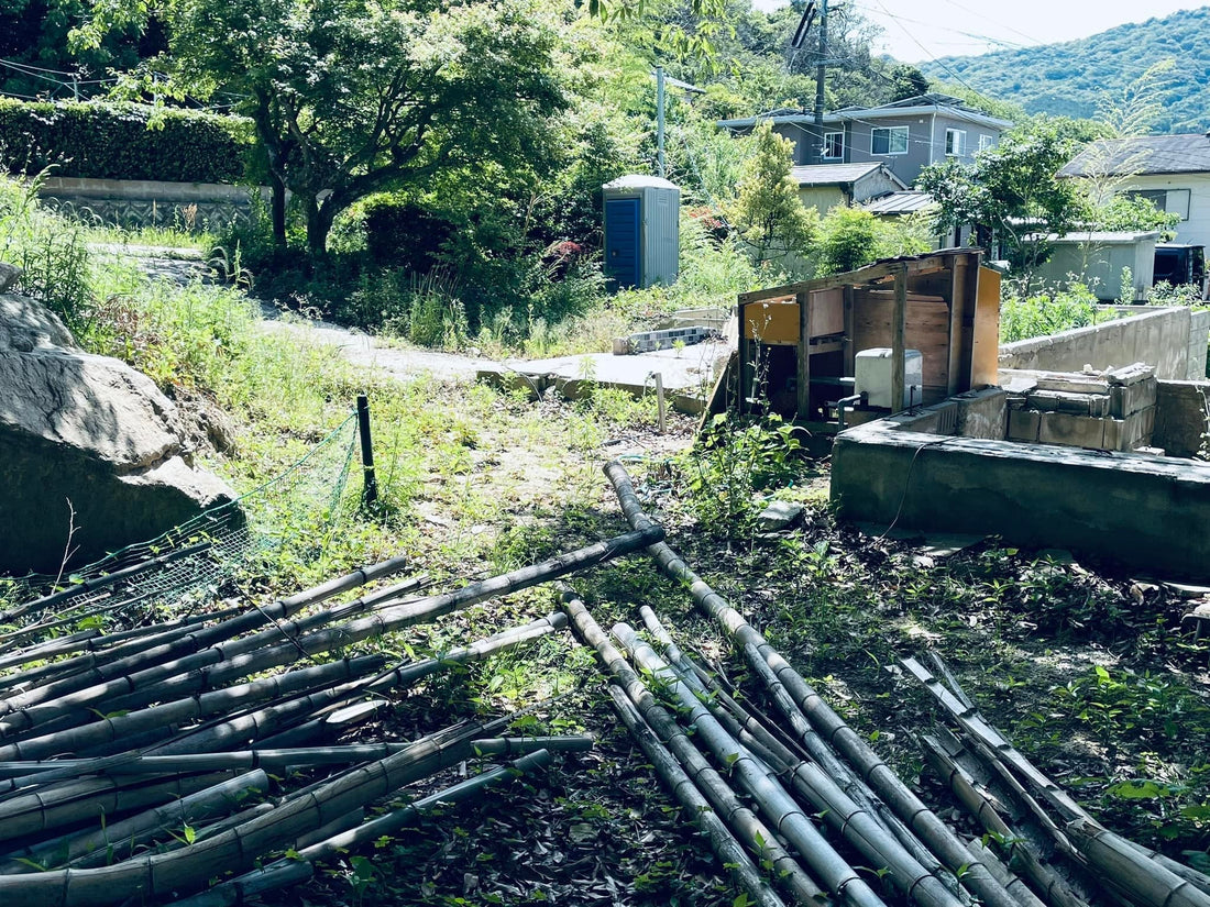 橡木跟橡膠木是什麼？木心板等級？