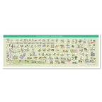 嬰兒發展圖 動力圖 寶寶發展圖